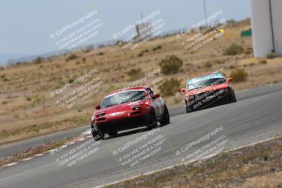 media/May-03-2025-Lucky Dog Racing (Sat) [[206de64b9d]]/Turn 6 (150pm-230pm)/